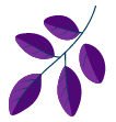 purple leaf