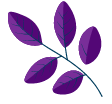 purple leaf