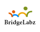 Bridge Labs